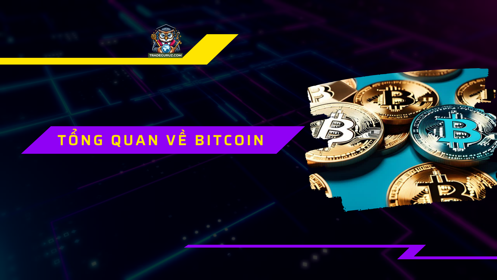 Tìm hiểu tổng quan về Bitcoin